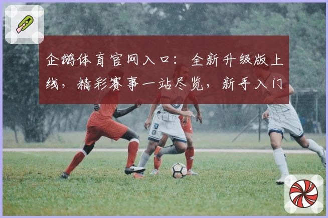 企鹅体育官网入口:全新升级版上线,精彩赛事一站尽览,新手入门攻略速看