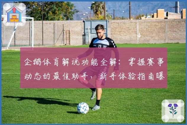 企鹅体育解说功能全解：掌握赛事动态的最佳助手，新手体验指南曝光