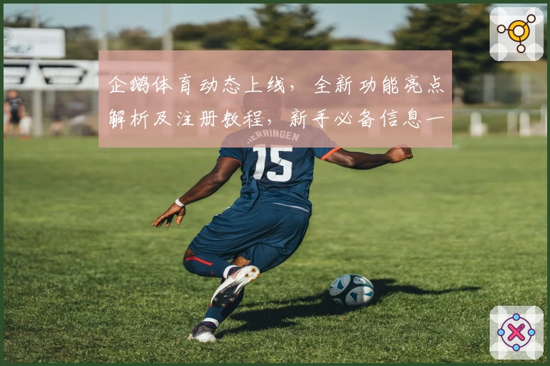 企鹅体育动态上线,全新功能亮点解析及注册教程,新手必备信息一览