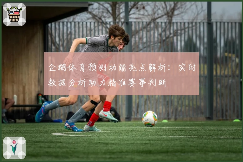 企鹅体育预测功能亮点解析：实时数据分析助力精准赛事判断