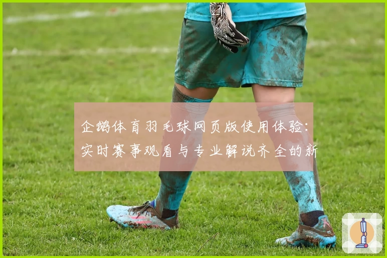 企鹅体育羽毛球网页版使用体验：实时赛事观看与专业解说齐全的新选择