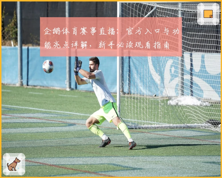 企鹅体育赛事直播：官方入口与功能亮点详解，新手必读观看指南